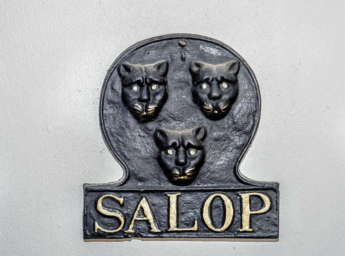 Salop House Villa Fish Hoek Holiday home